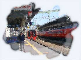 �����w�Q�Ԑ��z�[��