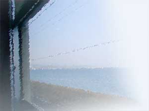 �i�q��⍑�w�t�߂̎ԓ�����