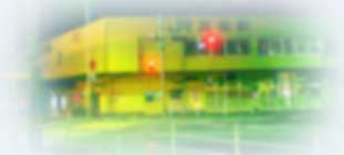 ��̂i�q�����w���w��